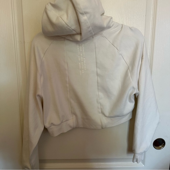 Alphalete Identity Cargo Joggers and Hoodie Color Sea shell - Picture 5 of 12